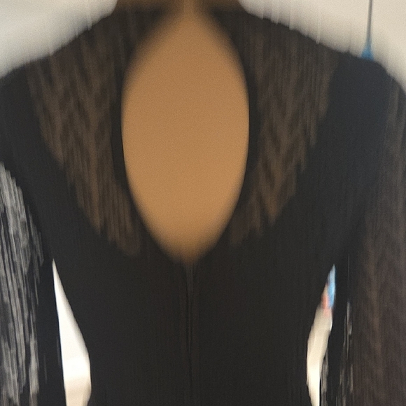 Elegant Black Lace Long Sleeve Dress - Picture 7 of 16